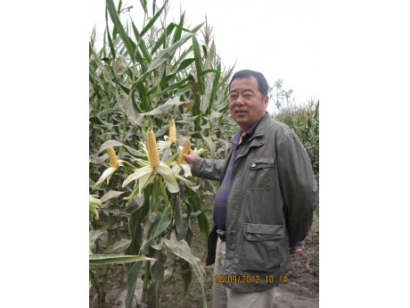喀什地区种子管理站站长王新华参观我公司实验基地